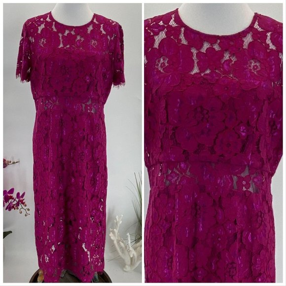 NSR Dresses & Skirts - Dress  NWT Pink Lace Round Neck Lined  NSR XL Side
